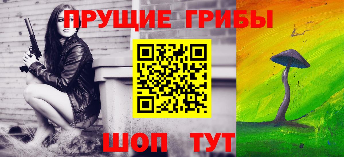 что такое наркотик  Вход с VPN  Электрогорск  Галлюциногенные грибы Psilocybine cubensis 